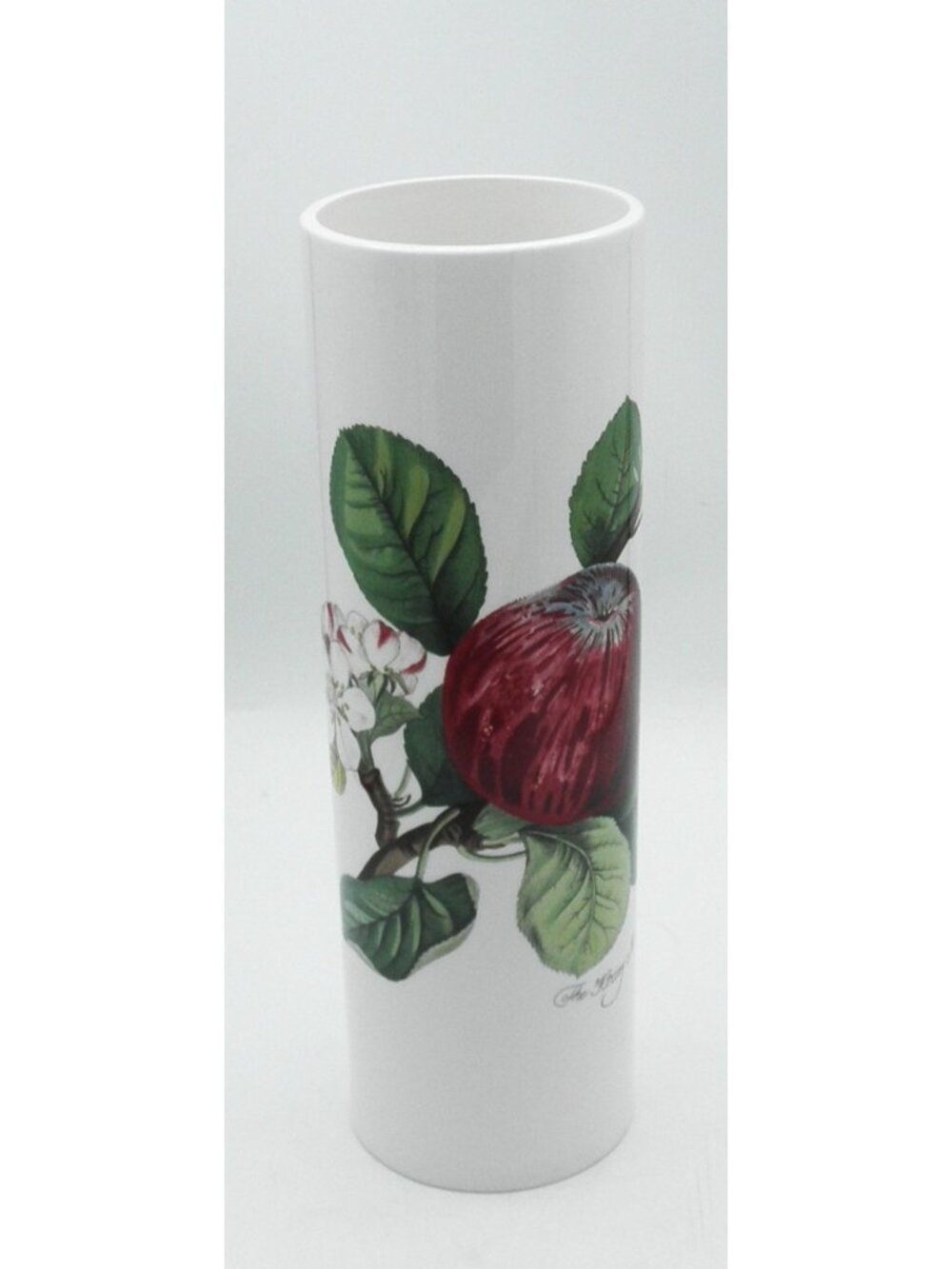 Pomona by Portmeirion Pasta Canister  Pattern Code: PRTPOM Hoary Morning Apple - Picture 7 of 14